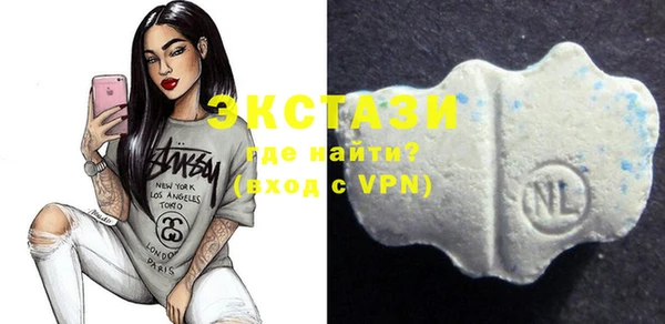 spice Гусев