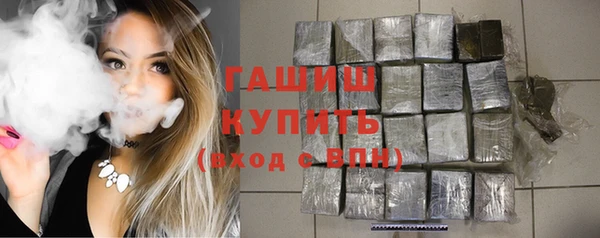 spice Гусев