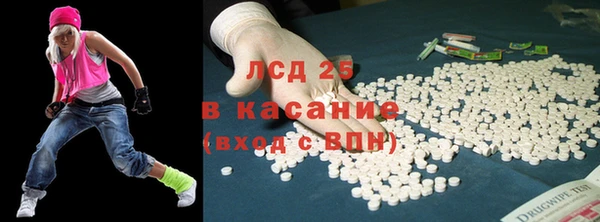 spice Гусев