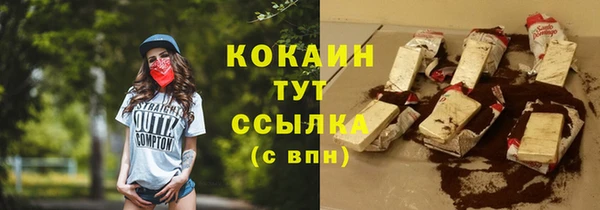 spice Гусев