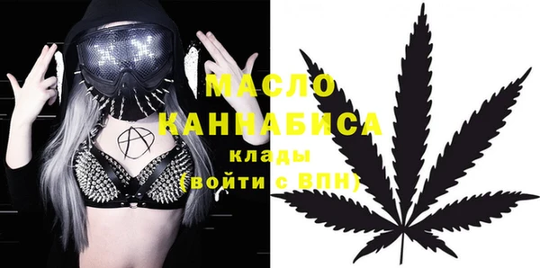 spice Гусев