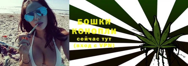 соль ск Гусиноозёрск