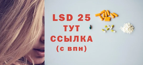 spice Гусев