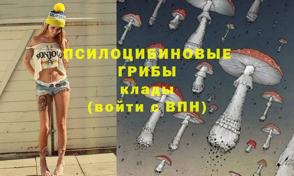 соль курить ск Гусь-Хрустальный