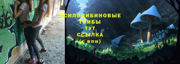 соль ск Гусиноозёрск