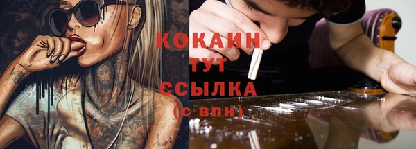 spice Гусев